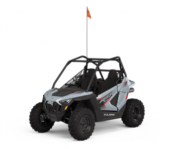 POLARIS RZR 200